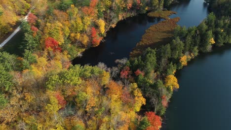 Aerial-View-of-Scenic-Colorful-Lakeside-and-Vivid-Forest-in-Autumn-Colors,-Rural-New-England,-Vermont-USA,-Drone-Shot