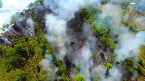 Aerial-view-of-Rainforest-deforestation,-forest-fire-burning-and-smoking,-in-the-Jungles-of-Mexico,-sunny-day,-in-Central-America---rising,-drone-shot