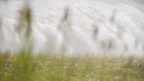 Island-Gullfoss-Wasserfall,-Der-Bei-Tageslicht-Mit-Blumen-Im-Vordergrund-Fließt