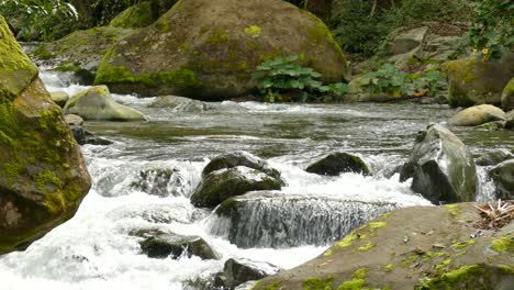 Kleiner-Wasserstrom,-Der-Durch-Felsen-Im-Wald-Fließt