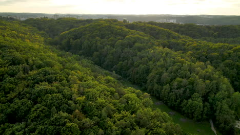 Aerial-tilt-up-shot-over-green-jungle-forests-and-outdoor-park-meadow