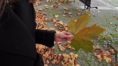 Girl-grabbing-a-autumn-leaf,-4k