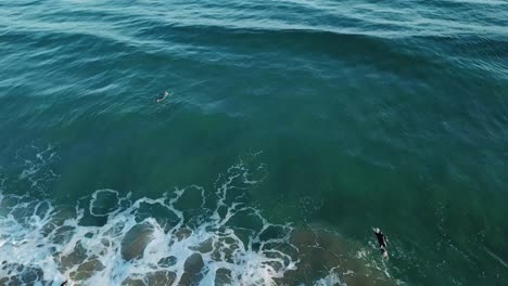 Drone-aerial-of-surfers-at-the-beach-in-the-blue-ocean-during-sunset-swimming-around-and-trying-to-catch-waves