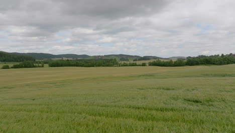 Landschaftslandschaft-Von-Weizenackerland-Mit-Wolkengebildehimmel