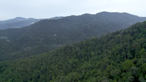 Luftflug-über-Dem-Dichten-Dschungel-In-Malaysia