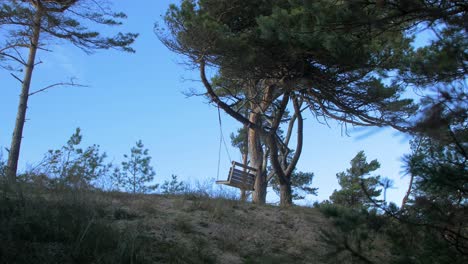 Empty-swings-hanging-at-the-seaside-forest-with-large-old-pine-trees,-Baltic-sea-coastline-landscape-view,-sunny-day,-distant-handheld-wide-shot