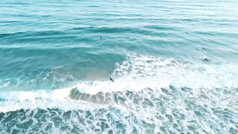Drone-aerial-of-surfer-catching-a-wave-in-blue-water-on-a-sunny-summer-day