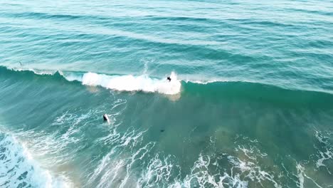 Drone-aerial-of-surfer-catching-a-wave-in-the-blue-ocean-of-The-Great-Ocean-Road-in-summer