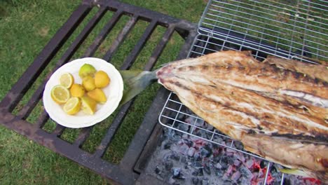 Fish-fillet-on-the-grill-or-barbecue