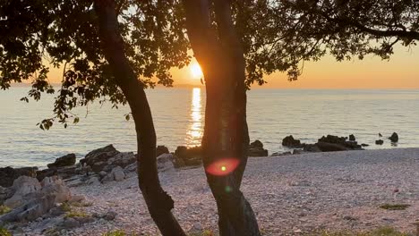 Sunset-on-the-seashore-in-front-of-pine-trees,-handheld-shot,-Croatia