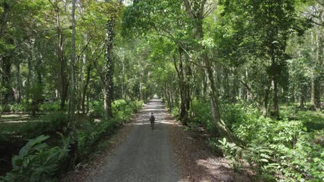 young-man-cycling-through-a-path-in-a-forest
