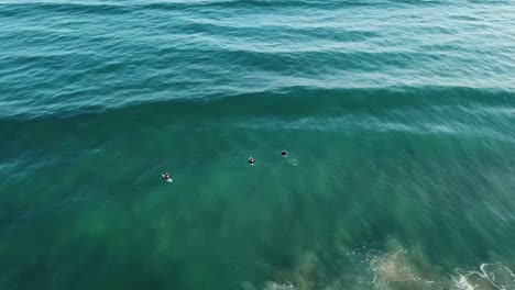 Drone-aerial-of-surfers-trying-to-catch-a-wave-on-a-blue-ocean-beach-Great-Ocean-Road