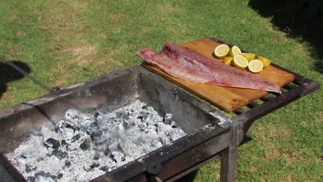 Grilling-fish-over-the-barbecue,-braai