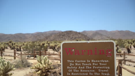 Warning-Sign,-This-Cactus-is-Hazardous,-Joshua-Tree-National-Park-Trail-and-Desert-Landscape