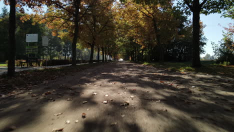 Bunte-Bäume-Und-Fußweg-In-Herbstlandschaft-Im-Park