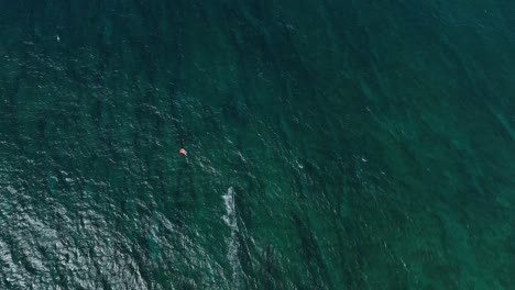 Aerial:-Kite-surfer-speeding-across-Ho'okipa-Beach-on-the-North-Shore-of-Maui