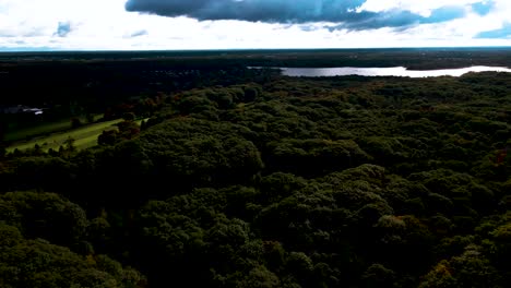 Aerial-of-the-dense-tree-cover-at-a-State-park