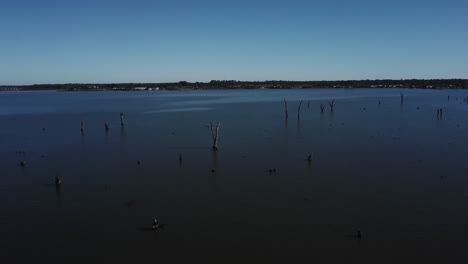 Drone-aerial-cinematic-pan-up-with-dead-trees-coming-out-of-blue-lake-in-Yarrawonga-on-a-sunny-day
