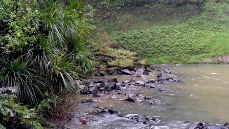 Natural-waterhole-surrounded-by-dense-forest,-plants-and-fauna,-with-choppy-water-lapping-up-from-pool-onto-rocks,-and-spray-in-the-air-from-waterfall-in-the-wilderness-of-New-Zealand-Aotearoa