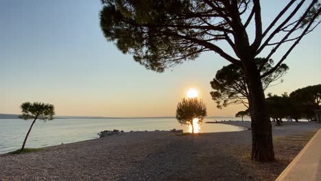 Sunset-on-the-seashore-in-front-of-pine-trees,-static-shot,-Croatia