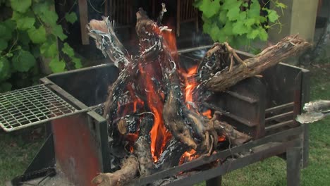 making-the-fire-for-the-barbecue-or-braai