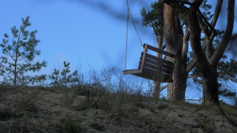 Empty-swings-hanging-at-the-seaside-forest-with-large-old-pine-trees,-Baltic-sea-coastline-landscape-view,-sunny-day,-distant-handheld-medium-shot
