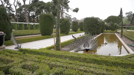 Weite-Aufnahme-Von-Cecilio-Rodriguez-Garten-Schöne-Wahrzeichen-Im-Retiro-Park,-Madrid,-Spanien