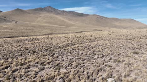 Drone-flying-over-a-dry-grass-landscape-in-the-terrain-of-Peru