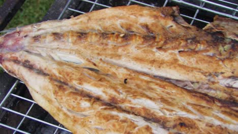 Grilling-fish-over-the-braai-or-barbecue