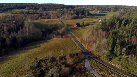Aerial-view-of-a-countryside-area-with-houses-near-the-green-forest-in-a-natural-environment,-wide-establishing-shot
