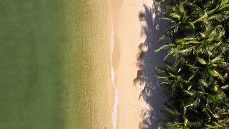 4k-aerial-drone-footage-of-deserted-beaches-along-the-coast-of-a-resort-in-Ko-Larn-Island,-Thailand