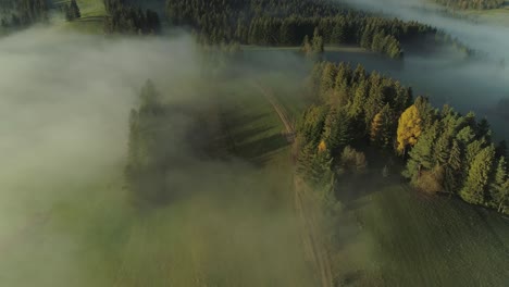 Nubes-De-Tierra-Sobre-El-área-Rural-En-Polonia,-Paisaje-Brumoso-Con-Bosque-Siempreverde