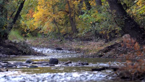 Herbstfarben-Entlang-Des-Boulder-Creek