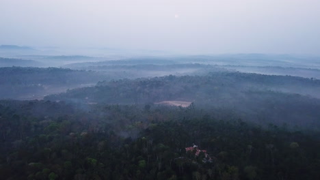 Nebeliger-Sonnenaufgang-4k-Auf-Kodagu-Pfefferfeldern,-Karnataka,-Indien