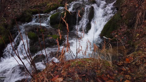 Suelo-Forestal-Cubierto-De-Hojas-Y-Musgo-Frente-A-Una-Cascada-En-Falls-Creek-En-El-Parque-Estatal-Chugach-A-Finales-De-Otoño-Cerca-De-Anclaje-Alaska
