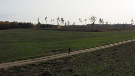 Follow-pan-of-lonely-red-coat-girl-walking-on-the-dirt-road-near-field