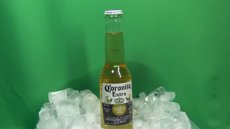 2-2-Coronita-Corona-Extra-Beer-Glass-Small-Bottle-200ml-in-chilled-bucket-cooler-Iced-Rotating-180-degree-circle-in-front-of-a-green-screen-for-a-cool-refreshing-entertaining-experience-to-enjoy