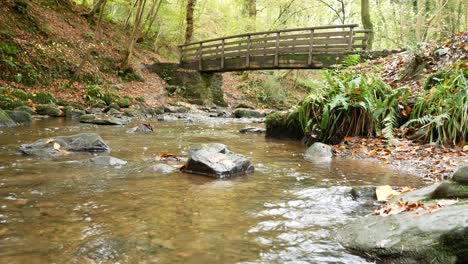Holzbrücke-über-Natürlichen-Fließenden-Bach-Im-Herbst-Wald-Wald-Wildnis-Niedrig-Dolly-Rechts