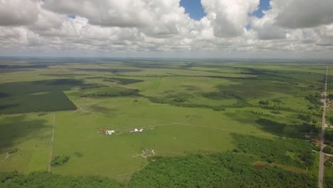 Birdseye-view-of-a-green-savanna-and-a-group-of-trees-with-beautiful-scattered-clouds-in-the-sky