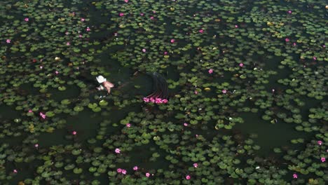 Man-smoking-while-swimming-and-harvesting-pink-Lotus-water-lilies