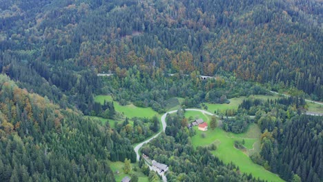 Lush-vegetation-pine-tree-forest-of-Eisenkappel-Vellach-Austria-aerial