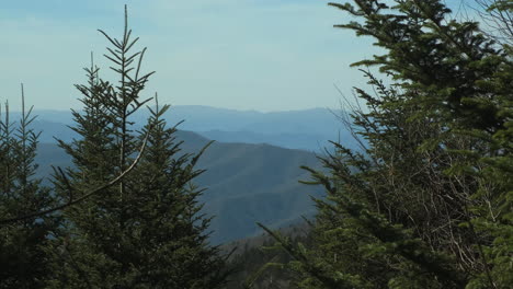 Natürliche-Tannen-Auf-Dem-Hügel-Und-Wunderschönes-Bergpanorama-Im-Hintergrund-An-Sonnigen-Und-Nebligen-Tagen