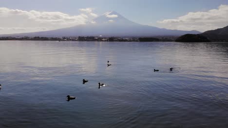 Low-angle-drone-tilt-up-over-lake-with-ducks-and-Mount-Fuji-on-bright-day