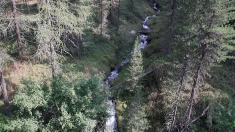 Schöner-Bach-Mit-Kleinen-Wasserfällen-In-Einem-Wald