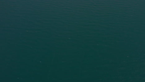 Luftaufnahme-Eines-Windigen-Tages-Am-Gardasee-Und-Menschen,-Die-Spaß-Am-Wassersport-Haben