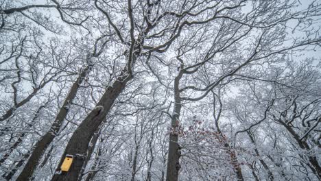 A-beautiful-winter-day-in-the-Hvezda-park-in-Prague