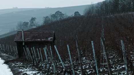 A-Cabine-between-a-Wine-Field-with-Snow