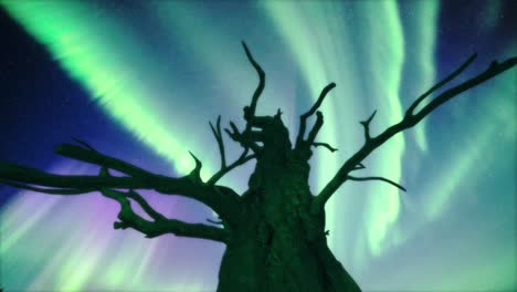 Eine-Dunkle-Silhouette-Des-Blattlosen-Baums-Vor-Dem-Von-Polarlicht-Erleuchteten-Himmel