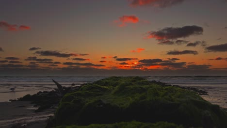Roter-Sonnenuntergang-über-Einem-Strand-Mit-Silhouetten-Wilder-Möwen,-Zwei-Davon-Fliegen-Weg---Konzept-Für-Eine-Romantische-Reise