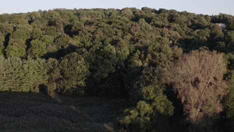 Un-Dron-Que-Vuela-Hacia-Atrás-Sobre-El-Bosque-Revela-Un-Antiguo-Silo-Y-Granero-Histórico
